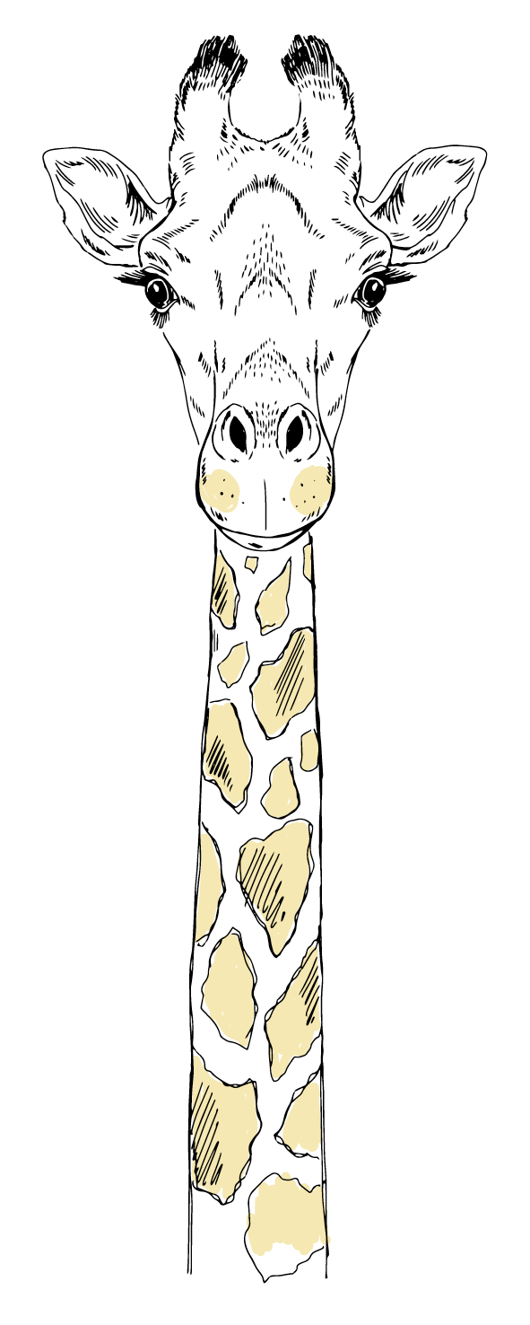 gris girafe